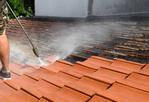 Best Roof Power Washing Services  in Cleveland, WI